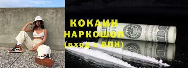 прущие грибы Богородск