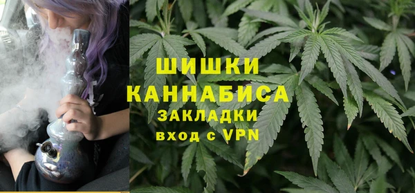 прущие грибы Богородск