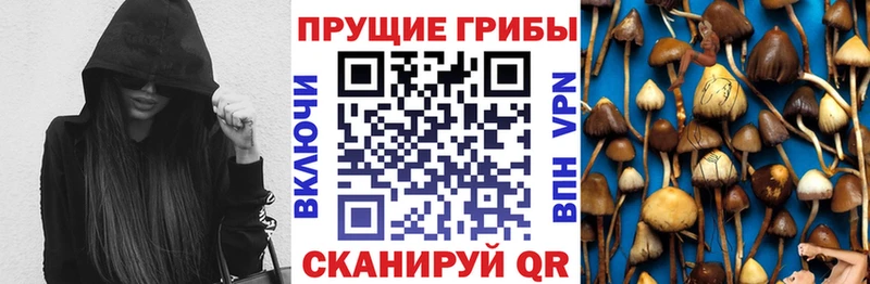 Псилоцибиновые грибы ЛСД  как найти наркотики  Киржач 