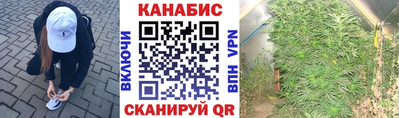 Канабис SATIVA & INDICA  гидра ССЫЛКА  Киржач 